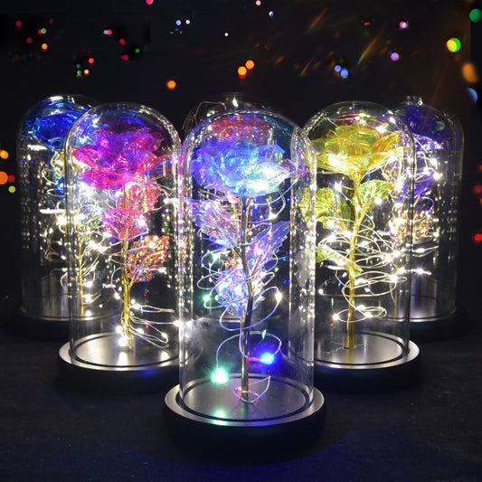 Christmas Gift Beauty and The Beast Preserved Roses In Glass Galaxy Rose Flower LED Light